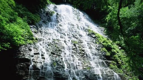 高标准先进